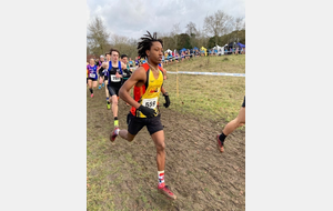 Championnat 37 de cross à Chambray (infos cliquez ici)